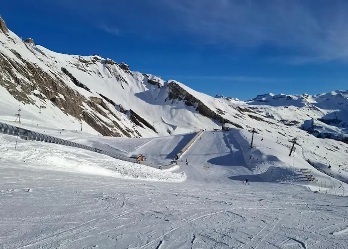 The Edelweiss - Cozy In Appartamento